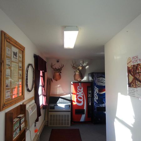 Tipperary Lodge Buffalo エクステリア 写真
